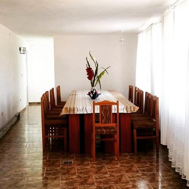 Ferienwohnung Casa Kotys Albestii Paminteni Exterior foto