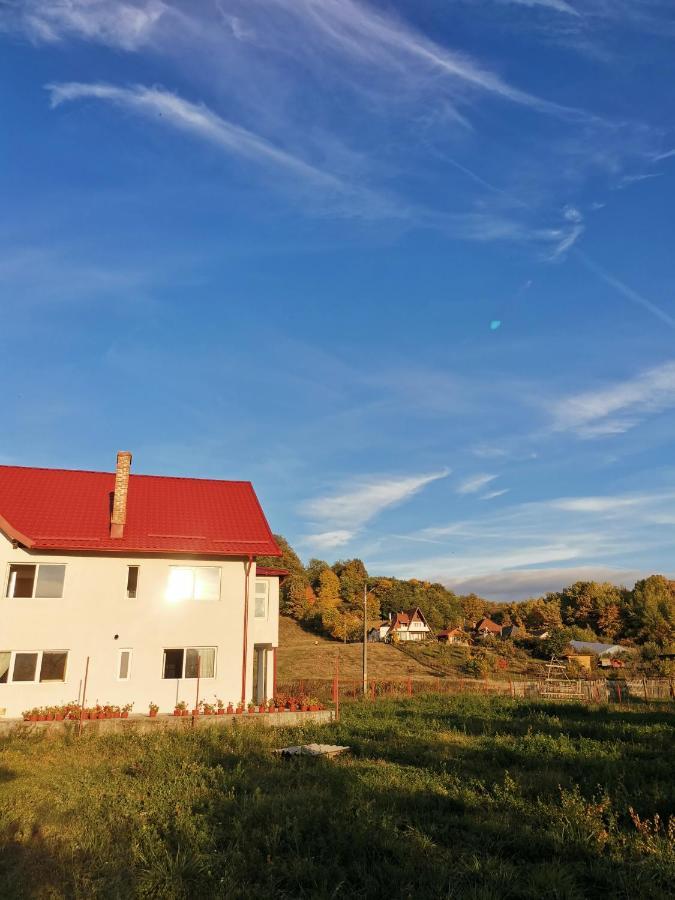 Ferienwohnung Casa Kotys Albestii Paminteni Exterior foto